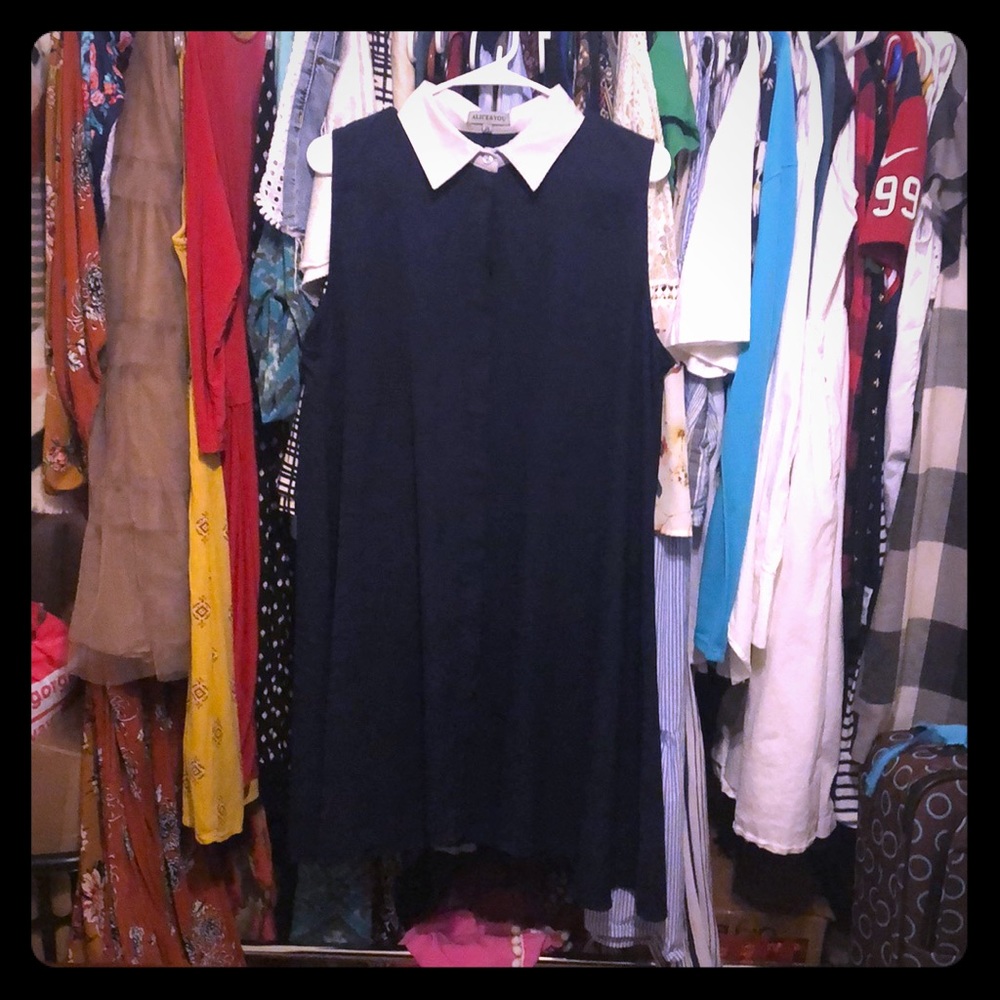 Two tone sleeveless swing dress
